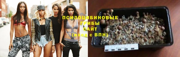 метадон Новодвинск