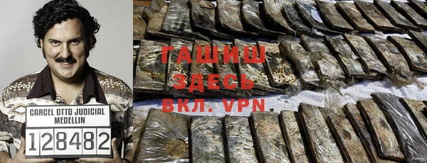гашик Тихвин