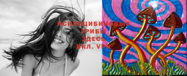 метадон Новодвинск