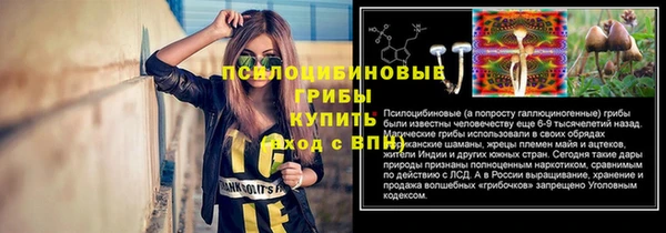 метадон Новодвинск