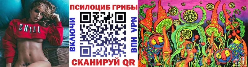 MEGA как войти  Сурск  Галлюциногенные грибы ЛСД 
